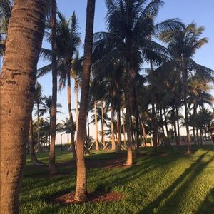 Meet your Posher, Melynda